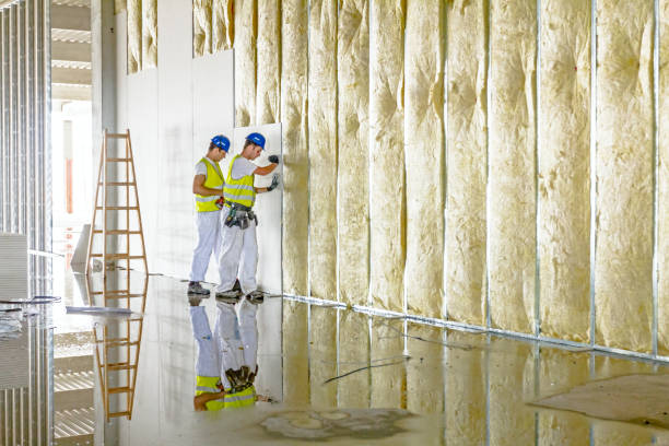 Best Types of Insulation in USA